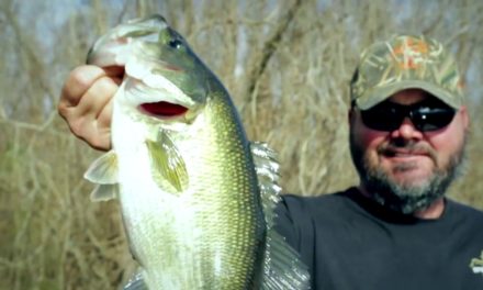 Fishing Bass Spawn in Janurary?? Grec Hackney on Winter Bass Tips – Sportsman TV