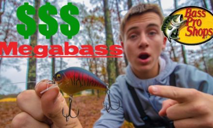 Fishing With Bass Pros Most EXPENSIVE Crankbait