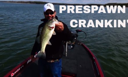Fishing With Crankbaits for Prespawn Bass on Kerr Lake