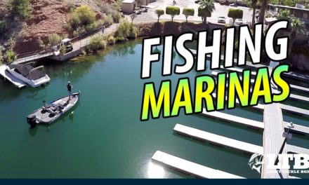 How To Fish Marinas | Bass Fishing
