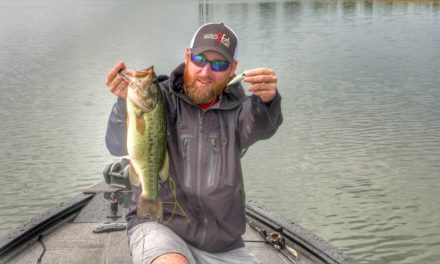 Learn the Best Times to Fish Topwater Poppers