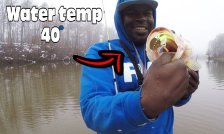 REWARDED FOR BASS FISHING IN WINTER WITH A CHATTERBAIT !!! (UNEXPECTED CATCH)