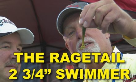 RageTail 2 3/4″ Swimmer | Bass Fishing