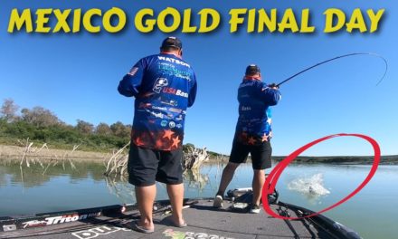 Scott Martin Pro Tips – The Pressure is on BIG TIME! Black Bass World Championship Final Day