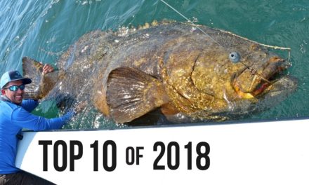 BlacktipH – Top 10 Best Fishing Moments from 2018