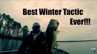 Winter Bass Fishing Chatterbait Tips