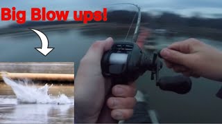 Wintertime Striped Bass Fishing with TOPWATERS and SWIMBAITS! (Big Blowups!)
