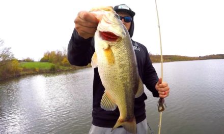 Flair – Cold Water Fall Bass Fishing