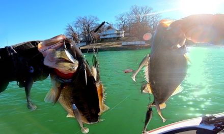 FAT Winter Bass DESTROY our Favorite Baits!!! (Tournament Pre-Fishing)