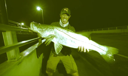 LakeForkGuy – Fishing at Night for Giant Snook – I Caught My PB!