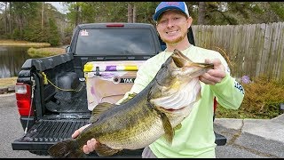 Fishing with HUGE Live Bait to Catch HUGE TROPHY Bass!