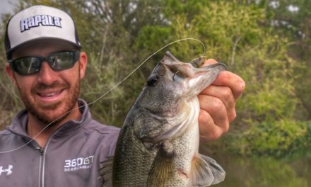 How to Pattern Bass By Covering Water Fast