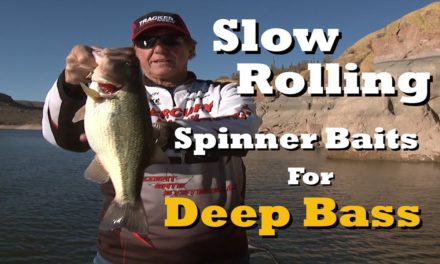 How to Slow Roll Spinner Baits for Deep Bass