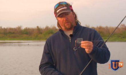 JT Kenney’s Florida Spinnerbait Bass Fishing Secrets
