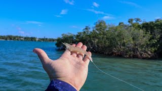 Lawson Lindsey – Live Shrimp Saves the Day in Tough Conditions!