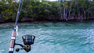 Lawson Lindsey – MY FIRST TIME THIS HAS EVER HAPPENED SIGHT FISHING ULTRA CLEAR WATER