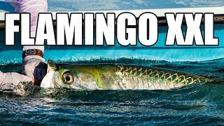 Monster Tarpon Fishing the Florida Everglades (TV Version)