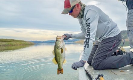 Lunkers TV – Record Day of Bass Fishing – Giant Mexico Bass