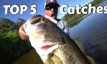 Scott Martin Pro Tips – TOP 5 Catches – Fish of a Lifetime, Records Broken and Tears