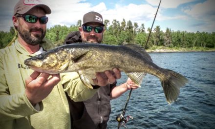 Transitional Walleye – Angling Edge TV