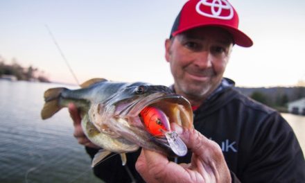 Advanced Crankbait Tricks for Coldwater Bass in Grass with G-Man