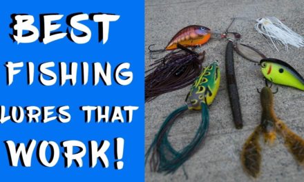 BEST BASS FISHING LURES THAT WORK YEAR ROUND