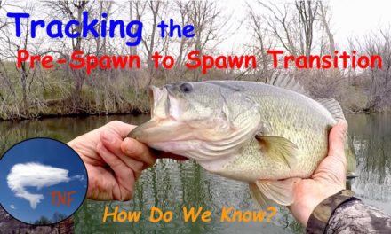 Bass Fishing: Tracking the Pre-Spawn to Spawn Transition: VFJ17
