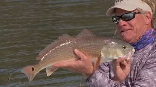 Georgia Flats Fishing for Redfish with DOA Lures and Mogan Spoon