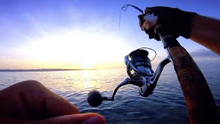 Flair – Hooking the STRONGEST Fish in the World