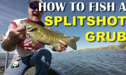 How To Fish A Splitshot Grub | Bass Fishing