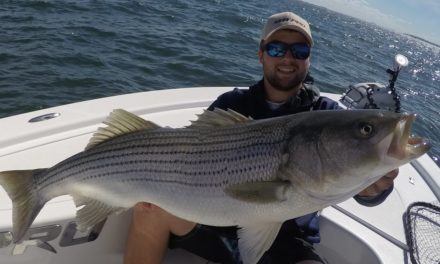 How to catch Stripers in Structure. GREAT ENDING! Striped Bass Fishing Boston