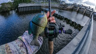 Lawson Lindsey – My First Time Fishing a Spillway