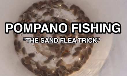 POMPANO FISHING: Easy Trick To Keep Sand Fleas Alive For Days