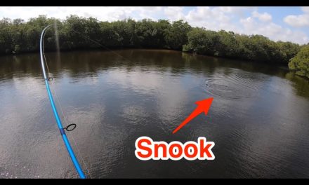 3 Tips To Catch Redfish & Snook Before A Cold Front While Paddle Fishing
