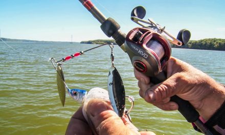 KVD’s Secrets to Power Fishing Spinnerbaits