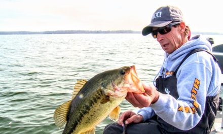 Chilly Largemouth — Angling Edge TV