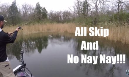 Spring Bass Fishing Tips: How To Skip With A Baitcaster And More!!!