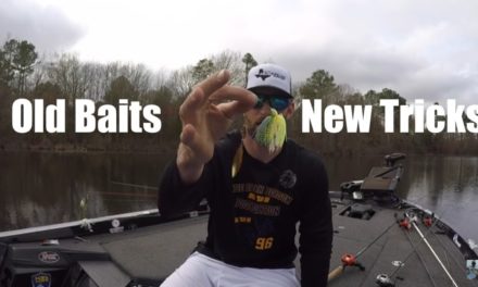 Spring Bass Fishing Tips: Spinner Baits W/ Brian Robison!!!