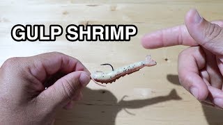 Salt Strong | – The 3 Best Ways To Rig Gulp Shrimp