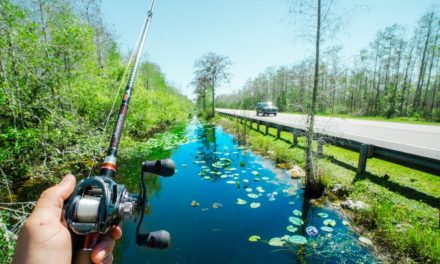Flair – This TINY Canal was LOADED with FISH!!!!