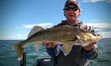 Walleye Fishing Today — Angling Edge TV