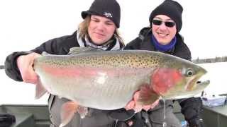 Uncut Angling – Manitoba – Weedline Shamu Rainbow Trout – Uncut Angling – March 15, 2014
