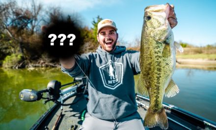this Lure is the JUICE!! – BIG SPRING BASS FISHING