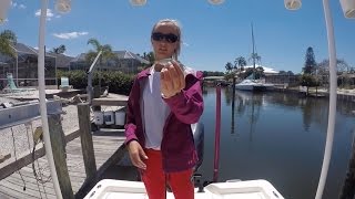 Salt Strong | – 3 Best Live Baits For Inshore Fishing In Florida (not including shrimp)