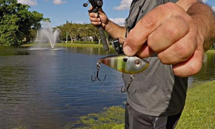 BEST LIPLESS CRANKBAIT BITE ON YouTube!?!? (Florida Pond Bass Fishing)