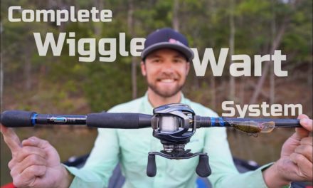 Complete System | Wiggle Wart