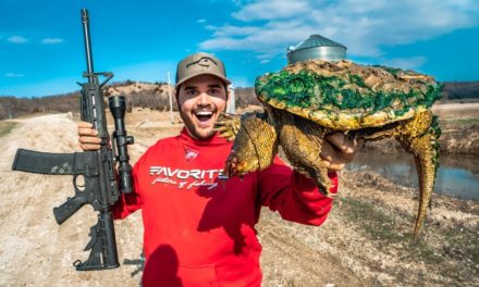 Flair – Epic SNAPPING Turtle CATCH CLEAN COOK!!!