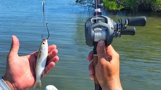 Lawson Lindsey – Fishing Live Finger Mullet to Figure Out New Water