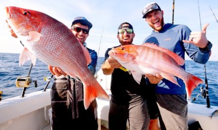 BlacktipH – Fishing for GIANT Snapper and Amberjacks with Dude Perfect
