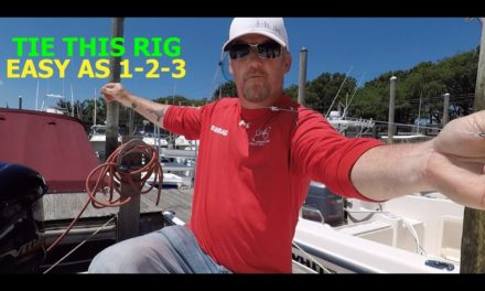 HOW TO RIG A LIVE BAIT FOR STRIPED BASS – EASY RIG FOR BEGINNERS !!